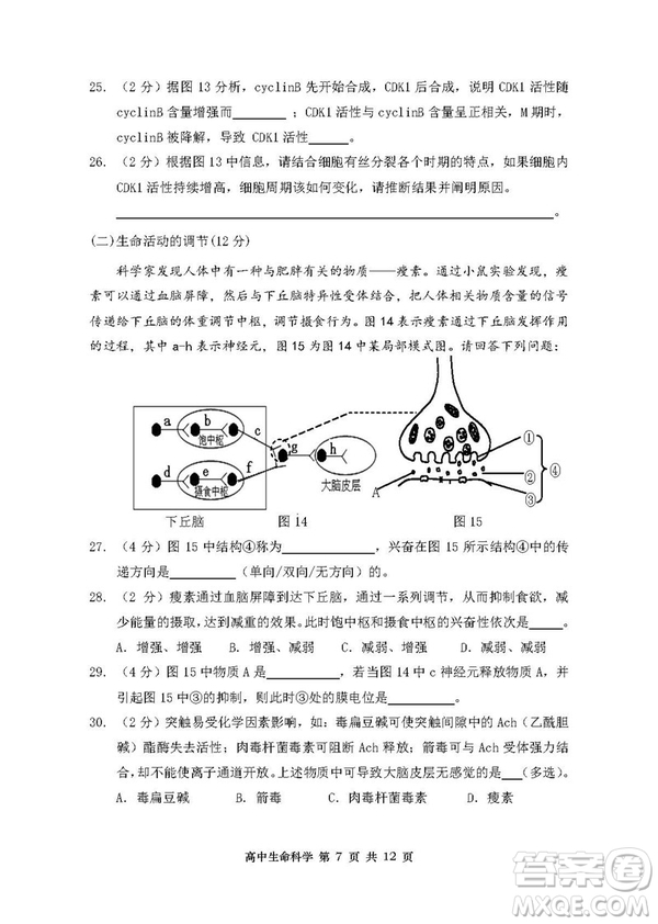 2019屆上海金山高三一模生物試卷答案