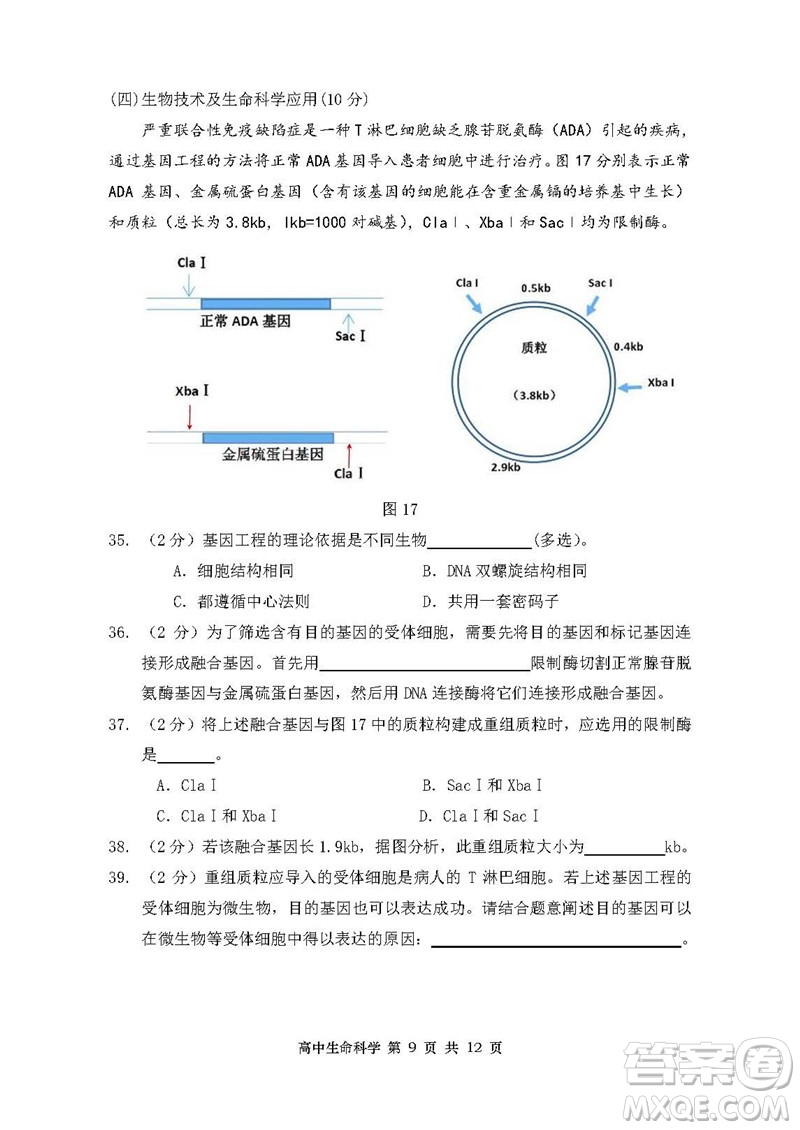 2019屆上海金山高三一模生物試卷答案