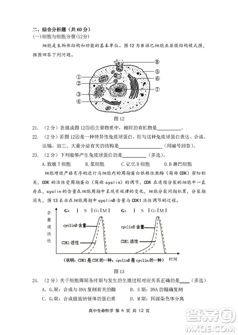 2019屆上海金山高三一模生物試卷答案