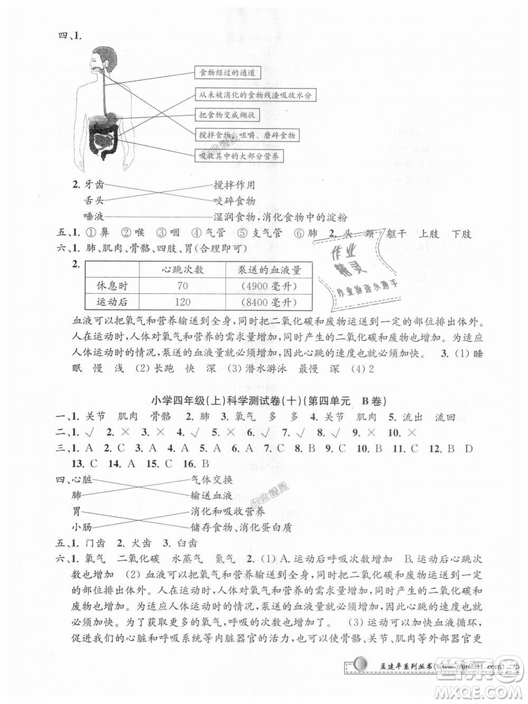 教科版9787517809203孟建平2018新版小學(xué)單元測(cè)試四年級(jí)上冊(cè)J科學(xué)答案