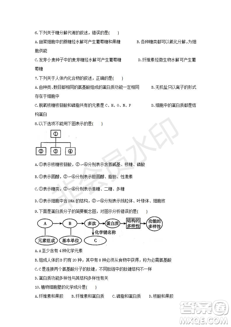 2018-2019學年四川省棠湖中學高一上學期第三次月考生物試題及答案