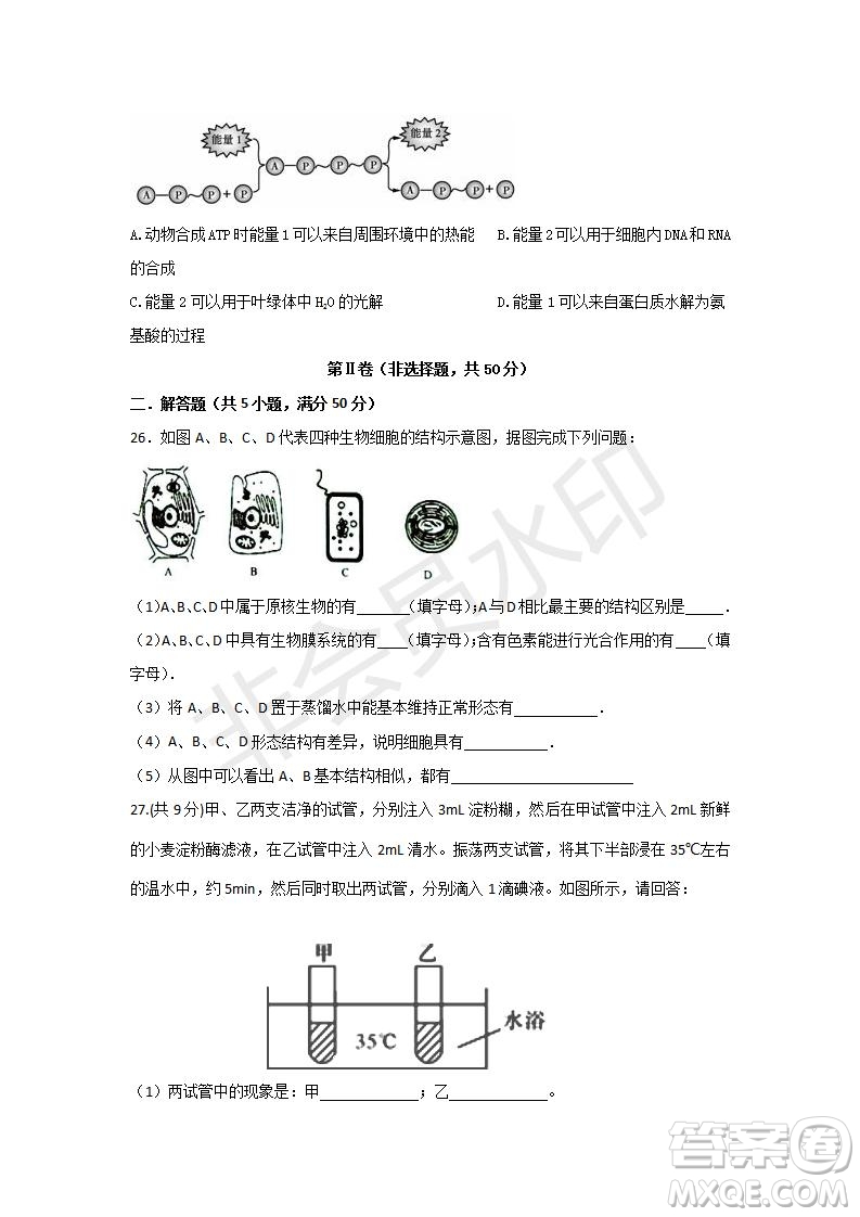 2018-2019學年四川省棠湖中學高一上學期第三次月考生物試題及答案