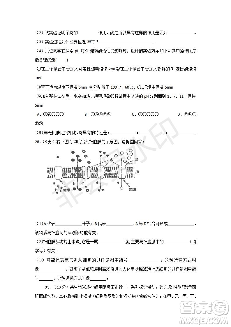 2018-2019學年四川省棠湖中學高一上學期第三次月考生物試題及答案