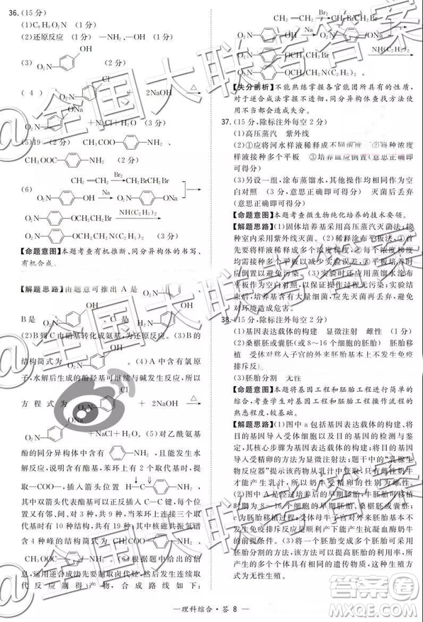 超級(jí)全能生2019高考全國(guó)卷26省12月聯(lián)考甲乙卷理綜參考答案