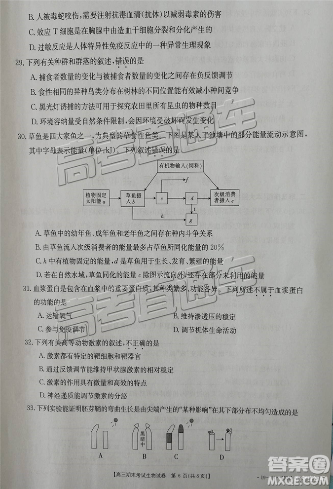 2019遼陽(yáng)高三期末考試?yán)砭C試卷及答案解析