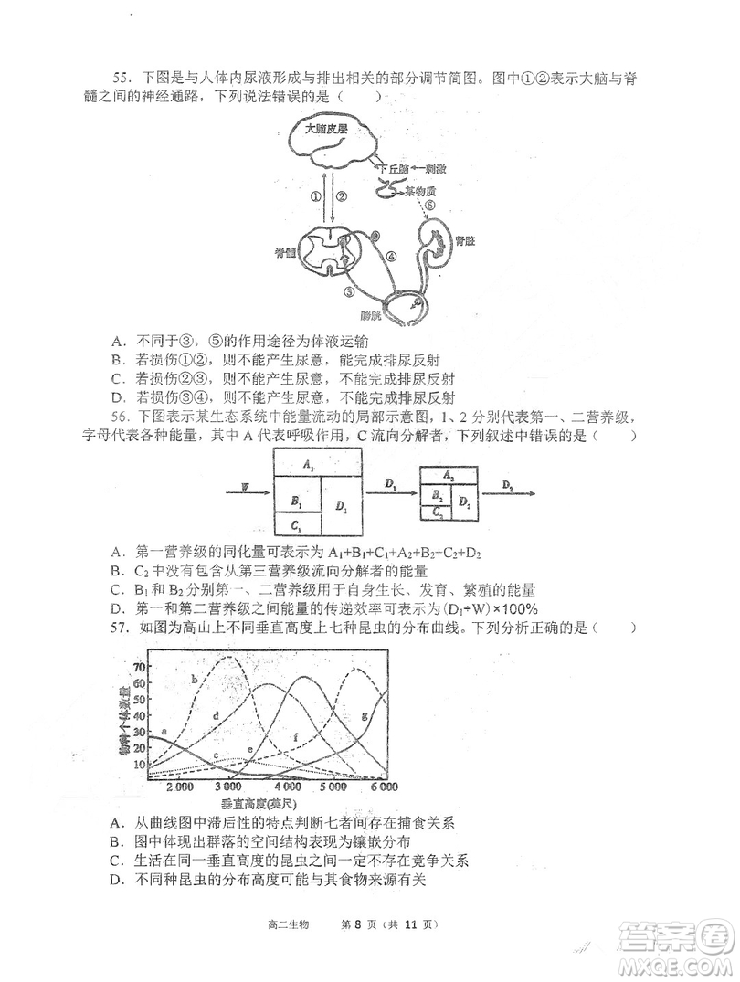 哈三中2018-2019學年度高二上期末測試生物試卷及答案答案