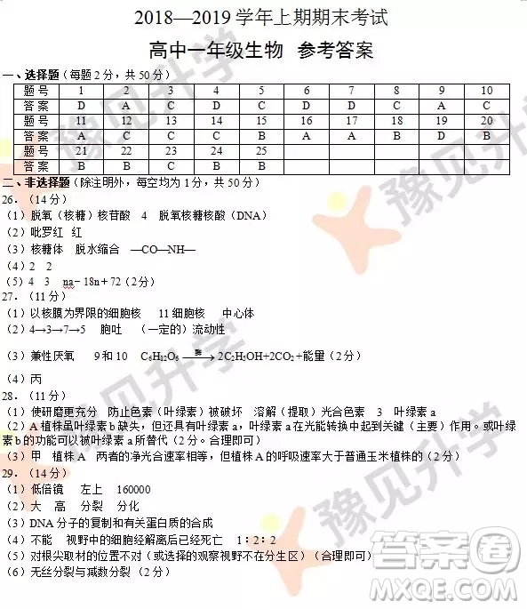 2018-2019鄭州高一年級上學期期末考試生物參考答案