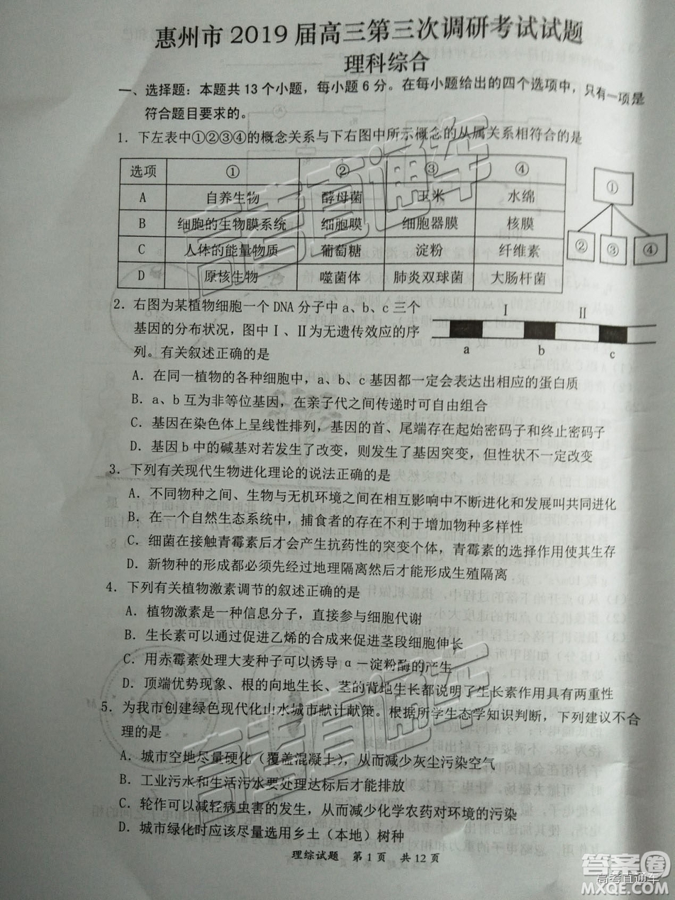 2019屆高三惠州三調(diào)理綜試題及參考答案