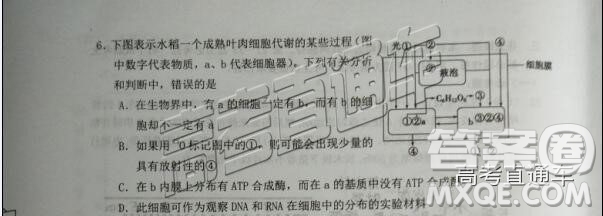 2019屆高三惠州三調(diào)理綜試題及參考答案