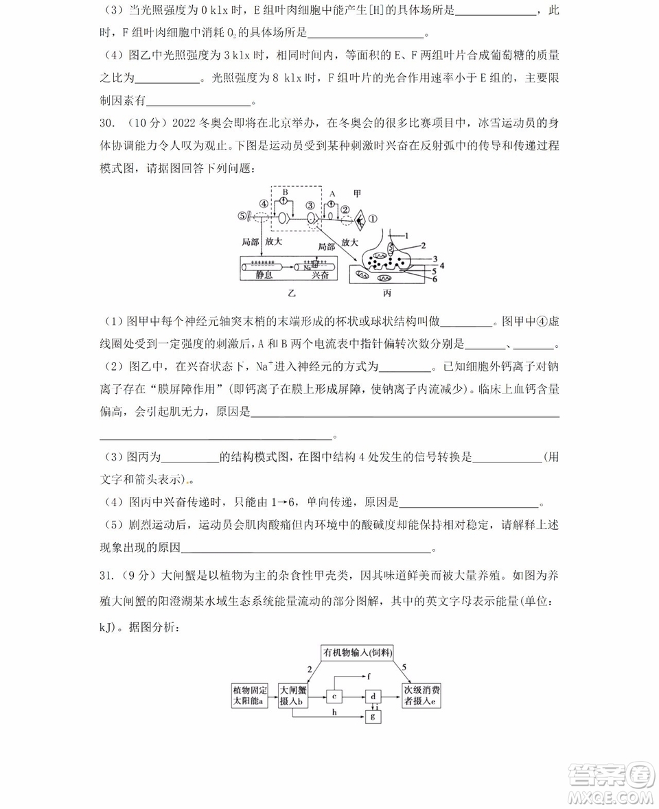 哈爾濱市第六中學(xué)2018-2019學(xué)年度上學(xué)期期末考試高三理科綜合試題及答案