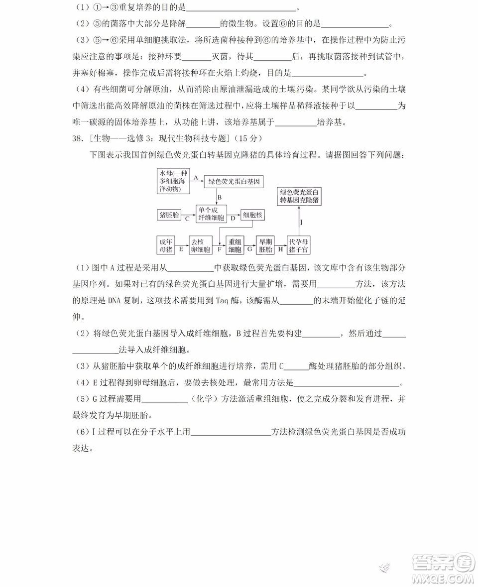 哈爾濱市第六中學(xué)2018-2019學(xué)年度上學(xué)期期末考試高三理科綜合試題及答案