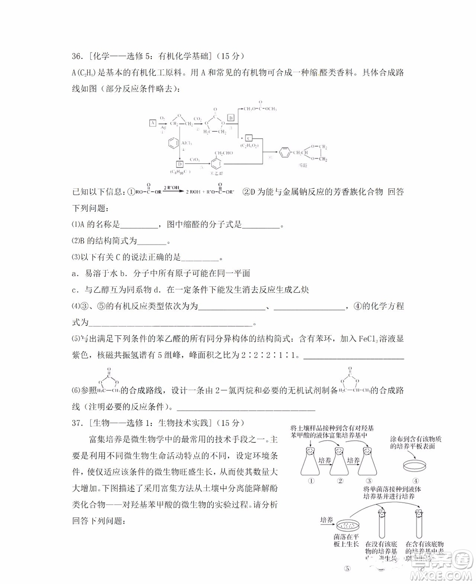 哈爾濱市第六中學(xué)2018-2019學(xué)年度上學(xué)期期末考試高三理科綜合試題及答案