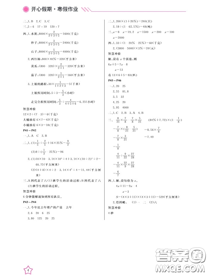 2019武漢出版社春季開(kāi)心假期寒假作業(yè)B版六年級(jí)數(shù)學(xué)答案