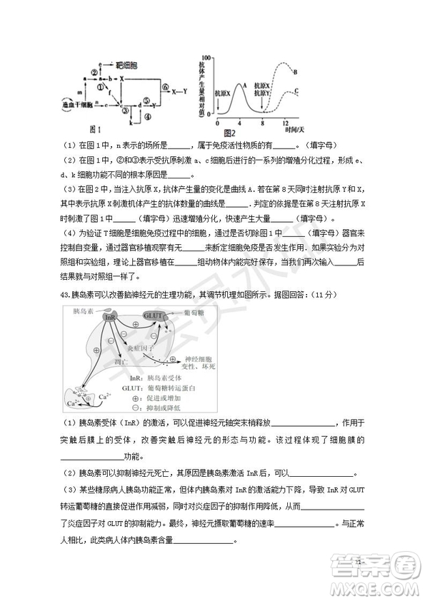 2018-2019學(xué)年黑龍江省鶴崗市第一中學(xué)高二上學(xué)期期末考試生物試題及答案