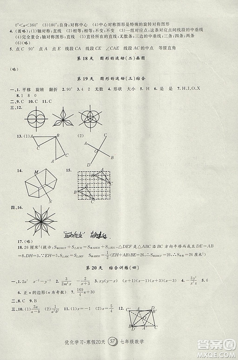 上海地區(qū)專用2019年優(yōu)化學(xué)習(xí)寒假20天寒假作業(yè)數(shù)學(xué)七年級數(shù)學(xué)參考答案