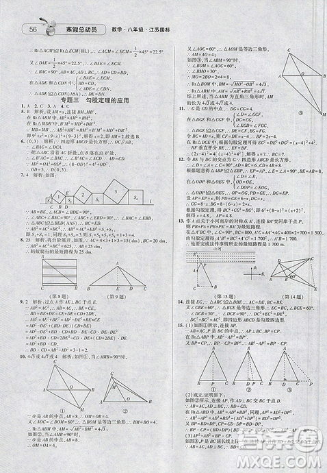 經(jīng)綸學(xué)典2019年江蘇國(guó)標(biāo)版寒假總動(dòng)員八年級(jí)數(shù)學(xué)答案