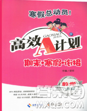 寒假總動員2019年高效A計劃期末寒假銜接六年級數(shù)學(xué)人教通用版答案