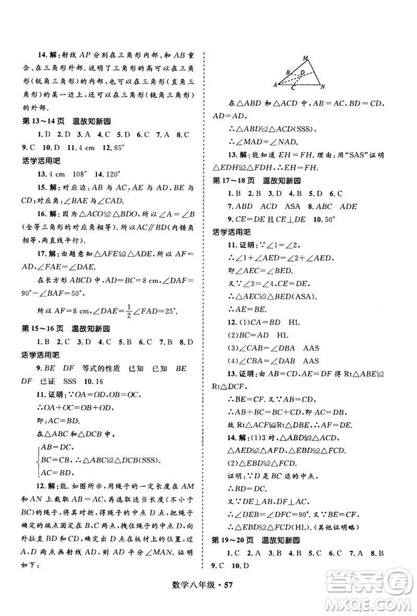 2019年贏在起跑線(xiàn)中學(xué)生快樂(lè)寒假8年級(jí)數(shù)學(xué)參考答案