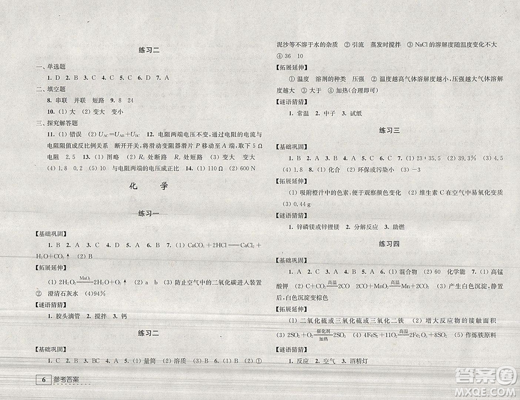 學習與探究寒假學習九年級合訂本2019年最新答案