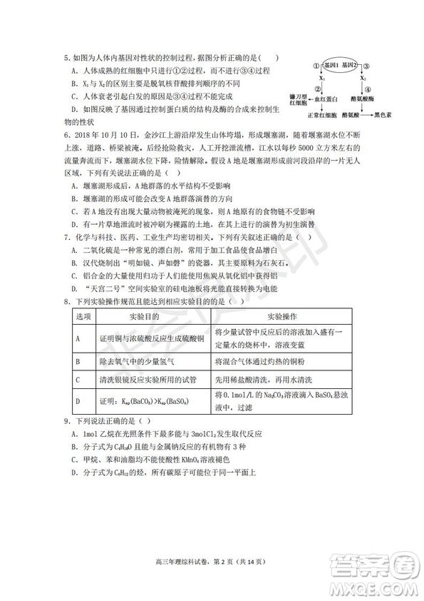 永春一中培元中學季延中學石光中學2019屆高三年畢業(yè)班第二次聯(lián)合考試卷理科綜合試題及答案