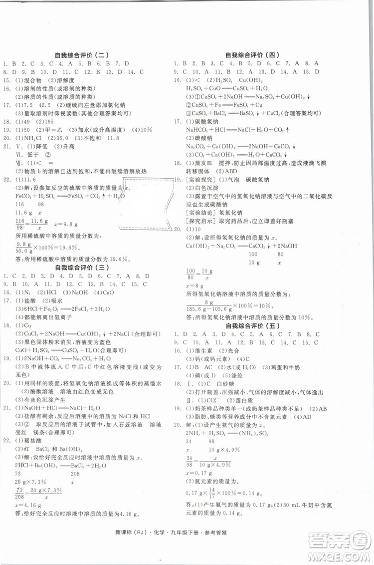 2019人教版全品作業(yè)本九年級(jí)化學(xué)下冊新課標(biāo)RJ陽光出版社參考答案