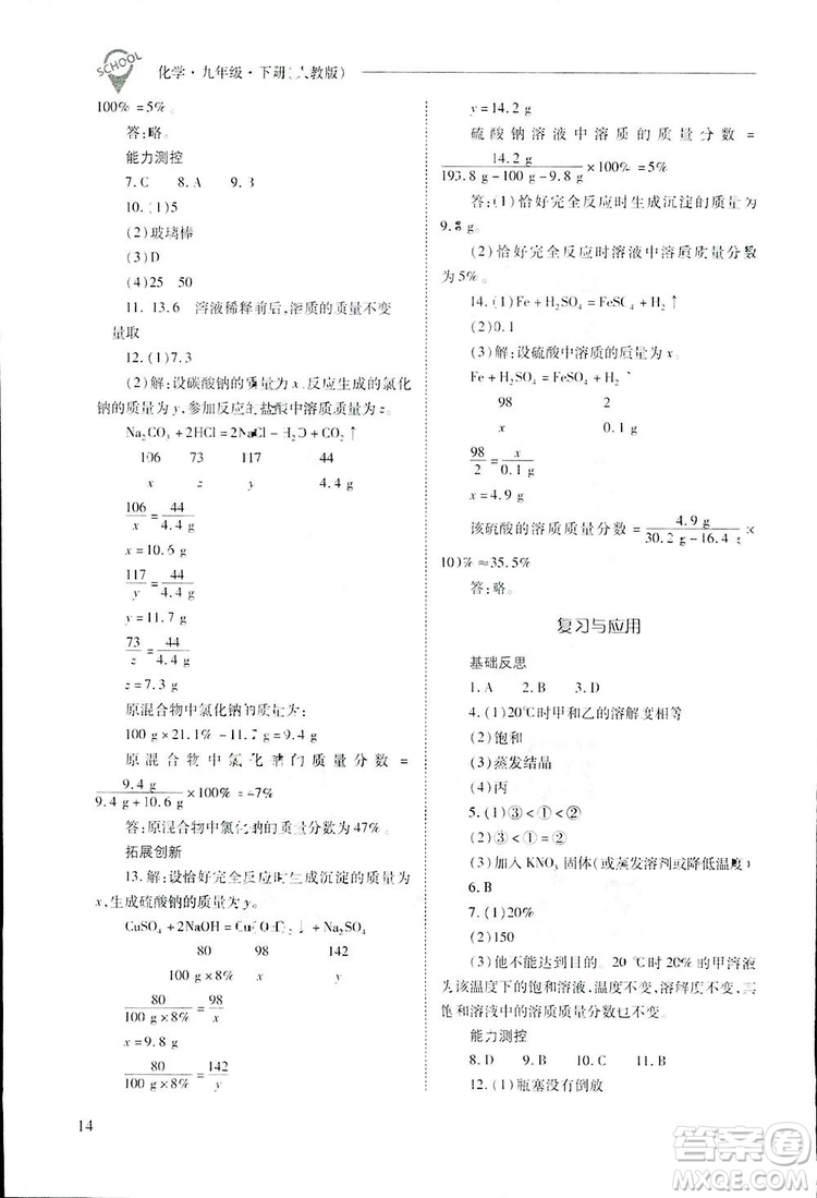 2019新課程問題解決導學方案九年級下冊化學人教版答案