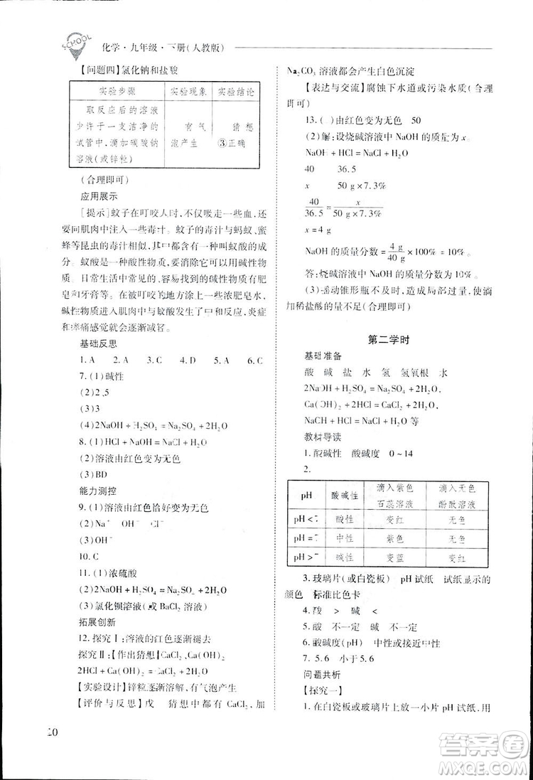 2019新課程問題解決導學方案九年級下冊化學人教版答案