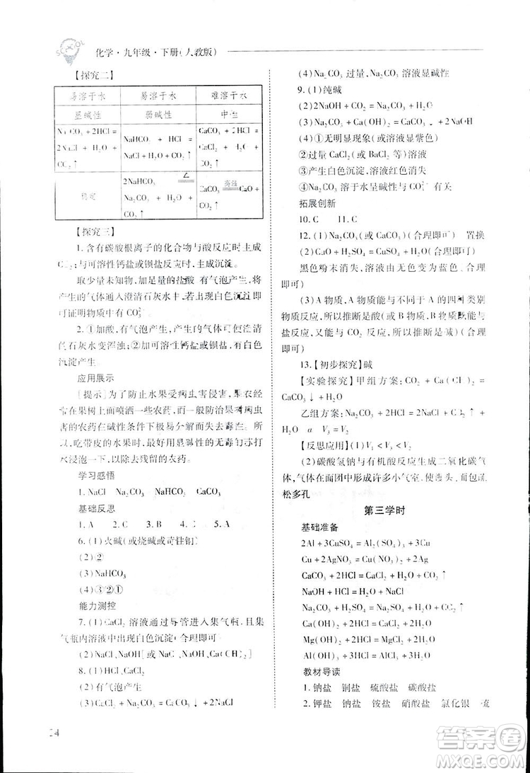 2019新課程問題解決導學方案九年級下冊化學人教版答案