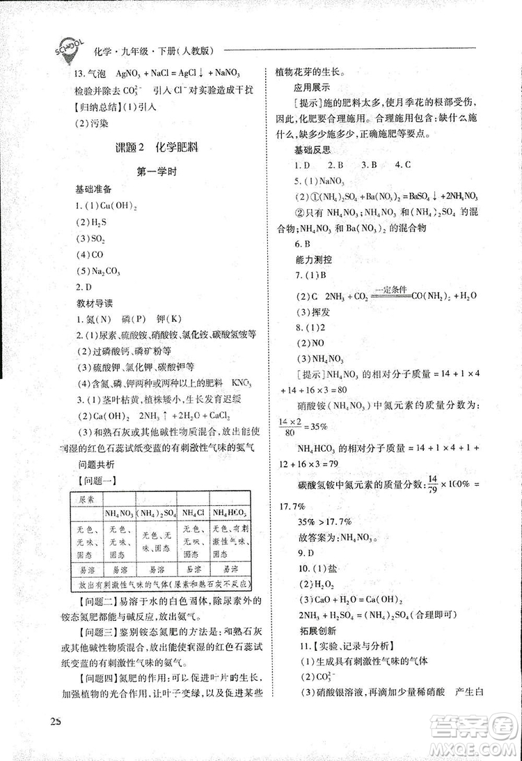 2019新課程問題解決導學方案九年級下冊化學人教版答案