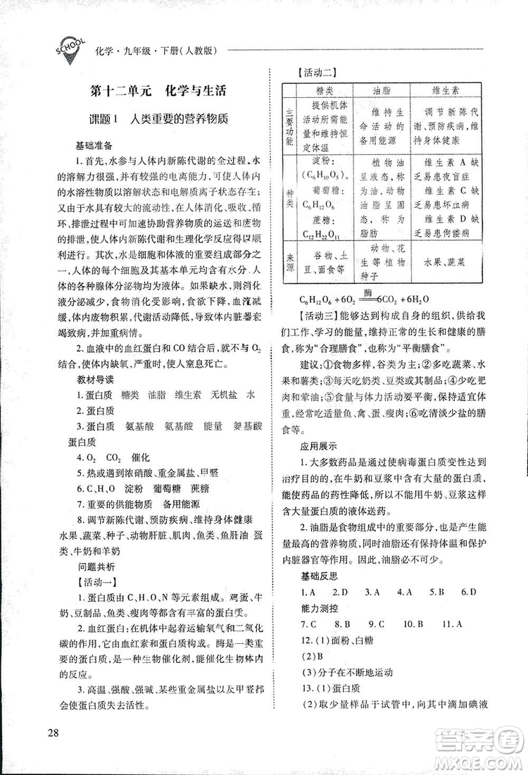 2019新課程問題解決導學方案九年級下冊化學人教版答案