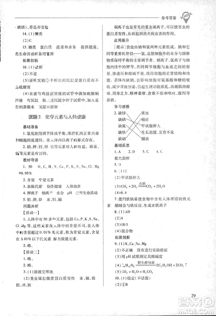 2019新課程問題解決導學方案九年級下冊化學人教版答案