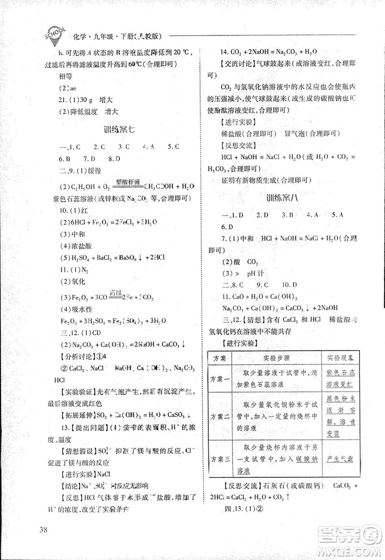 2019新課程問題解決導學方案九年級下冊化學人教版答案