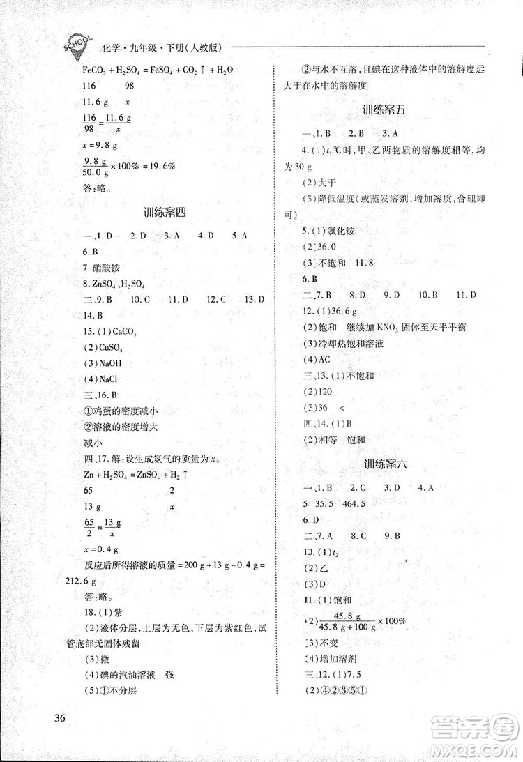 2019新課程問題解決導學方案九年級下冊化學人教版答案