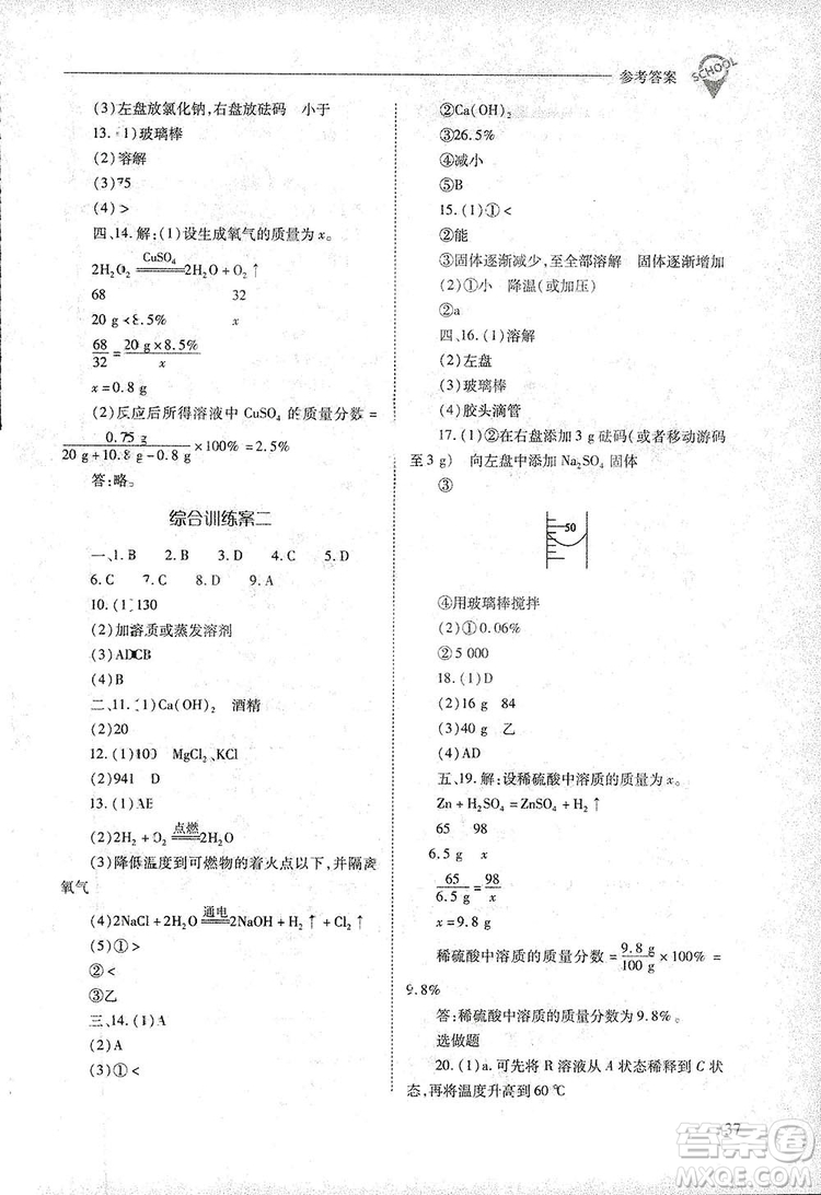 2019新課程問題解決導學方案九年級下冊化學人教版答案