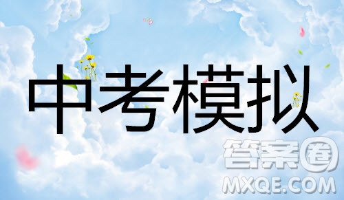 河南省2019年中考語文模擬試題及參考答案