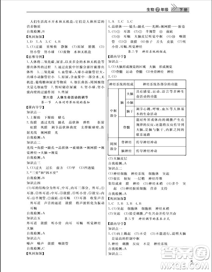 武漢出版社2019智慧學(xué)習(xí)課堂作業(yè)八年級生物下冊人教版答案