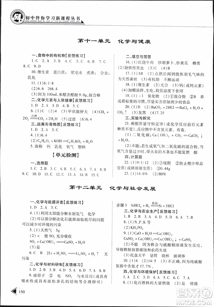 五四制2019年初中伴你學(xué)習(xí)新課程叢書九年級下冊化學(xué)魯教版參考答案