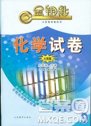 2019年金鑰匙化學(xué)試卷九年級下冊人教版參考答案