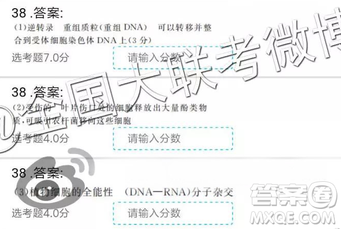 2019年全國普通高中高三二月大聯(lián)考理綜參考答案