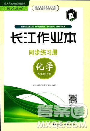 2019年長江作業(yè)本初中九年級下冊化學同步練習冊人教版參考答案