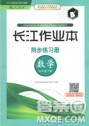 2019新版長江作業(yè)本同步練習(xí)冊九年級數(shù)學(xué)下冊人教版參考答案