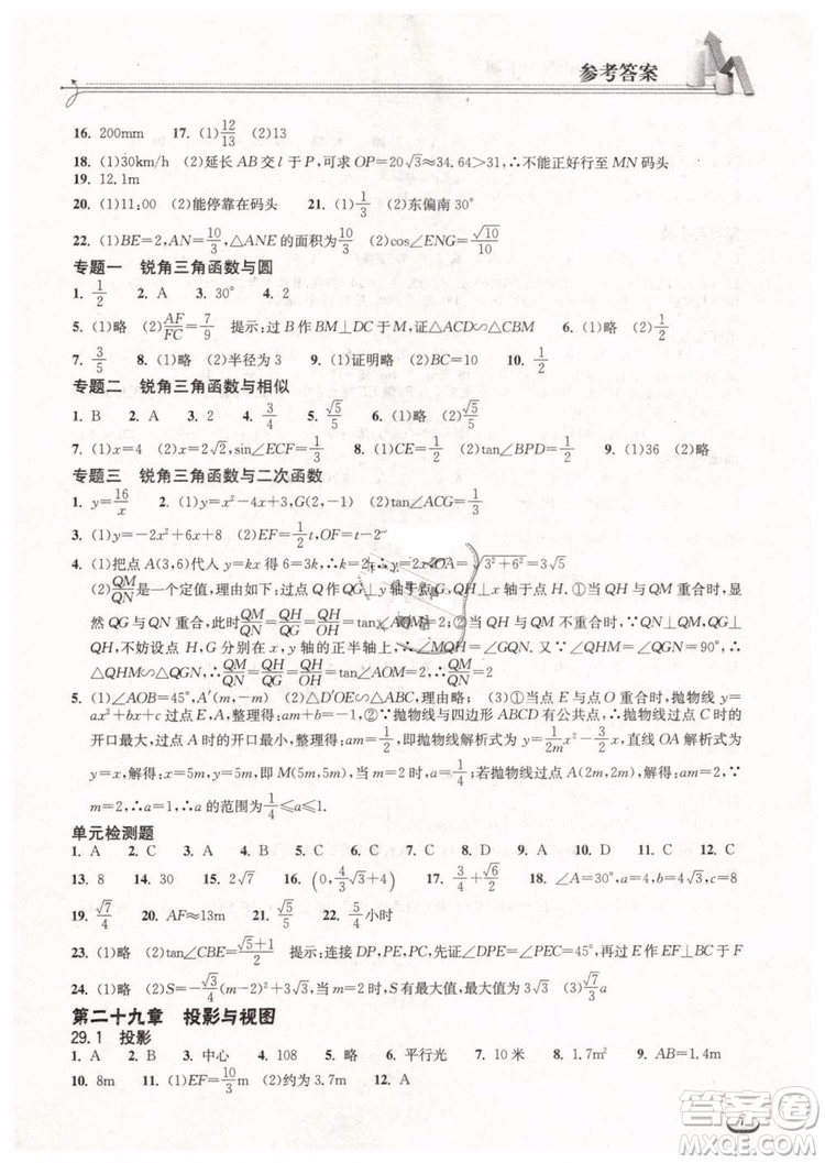 2019新版長江作業(yè)本同步練習(xí)冊九年級數(shù)學(xué)下冊人教版參考答案