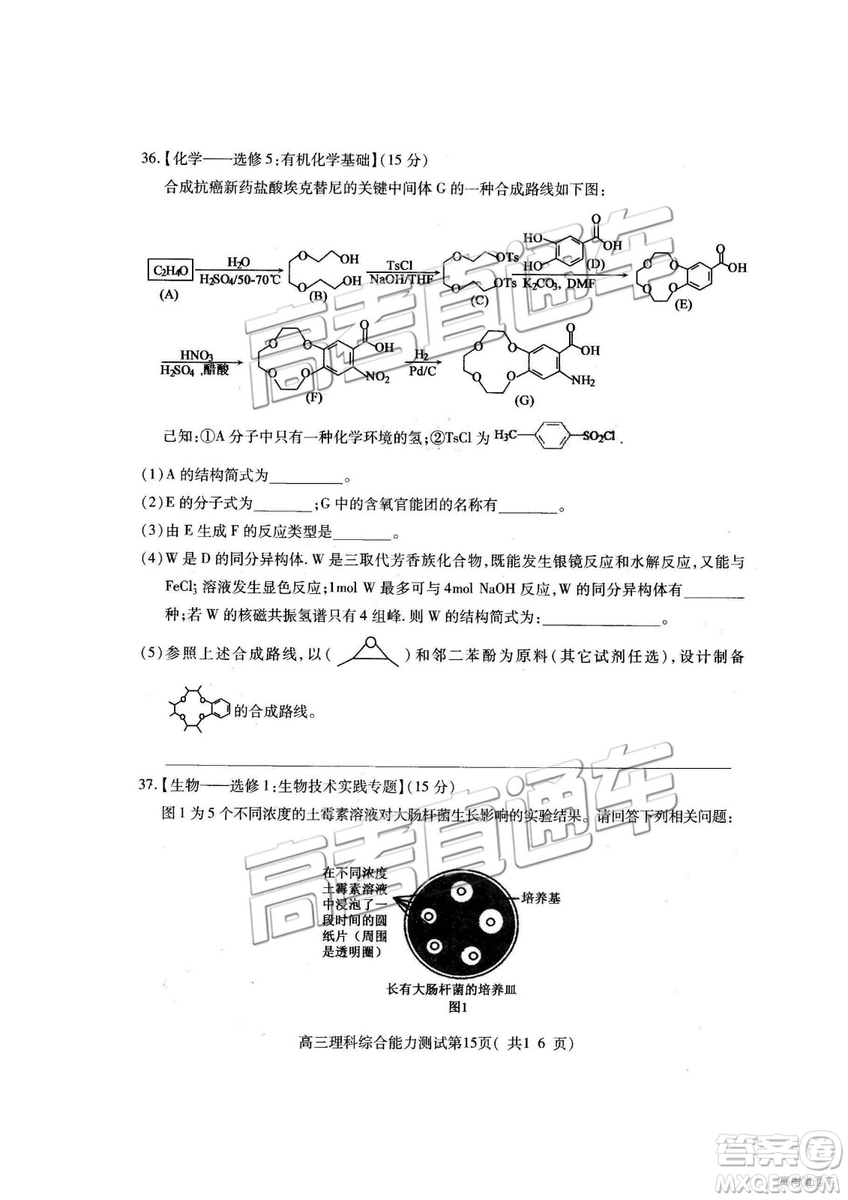 2019年高三濟(jì)寧一模理綜試題及參考答案