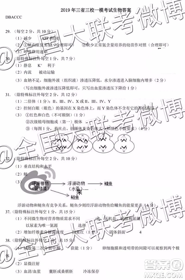 2019年東北三省三校高三一?？荚嚴砜凭C合答案