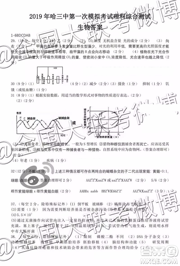 2019年哈三中高三一模文綜理綜答案解析