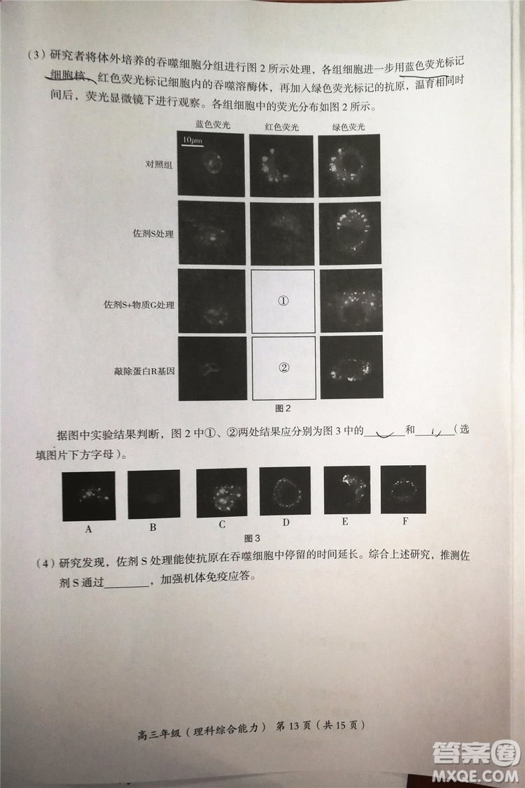 2019年北京海淀區(qū)高三零模文綜理綜試題及答案解析