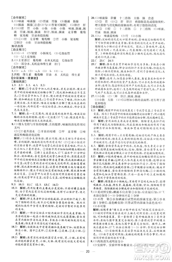 2019人教版七年級下冊生物學課時練同步學歷案河北專版參考答案