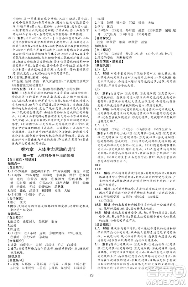 2019人教版七年級下冊生物學課時練同步學歷案河北專版參考答案