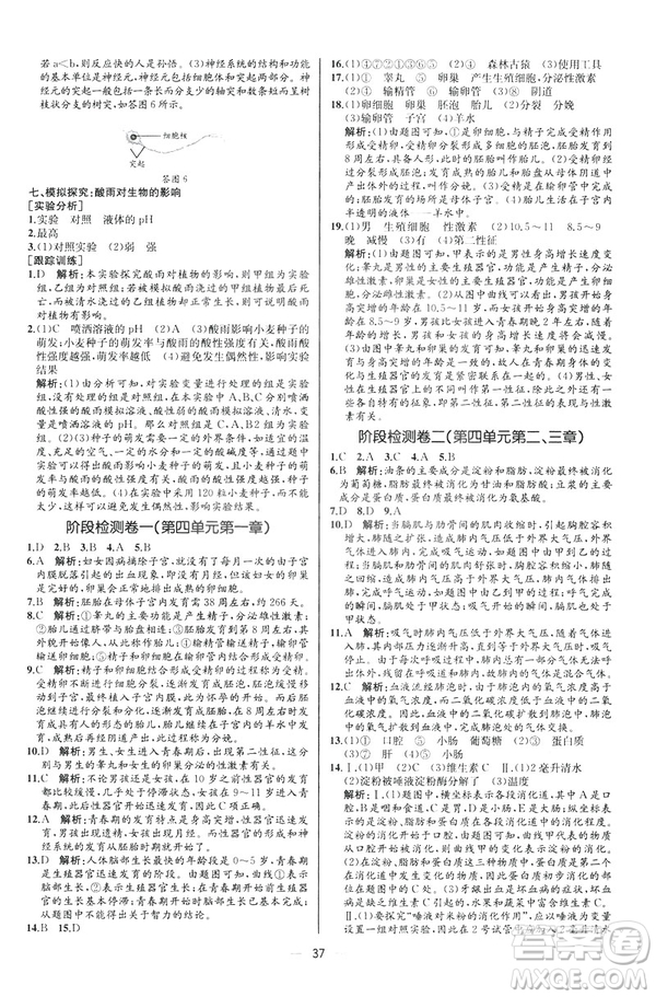 2019人教版七年級下冊生物學課時練同步學歷案河北專版參考答案