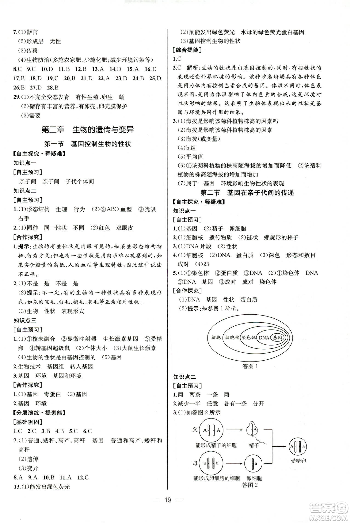 河北專版2019人教版八年級下冊生物學課時練同步學歷案答案